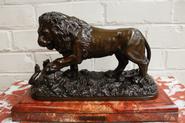 Bronze statue Lion with snake signed by Vidal 19th century