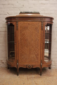 Display cabinet with bronze