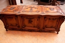 Louis XV style Trunk/cabinet in Walnut, France 19th century