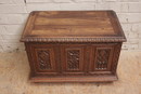 Gothic style Trunk in Oak, France 1900