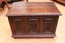 Gothic style Trunk in Oak, France 19th century