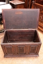 Gothic style Trunk in Oak, France 19th century