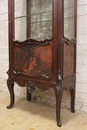 Louis XV style Display cabinet in mahogany , France 19th century