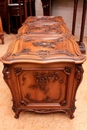 Louis XV style Trunk/cabinet in Walnut, France 19th century