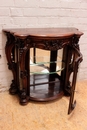 Louis XV style Display cabinet/planter in rosewood, France 19th century