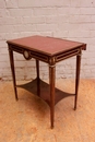 Louis XVI style Desk/center table in mahogany bronze marble wedgewood, France 19th century